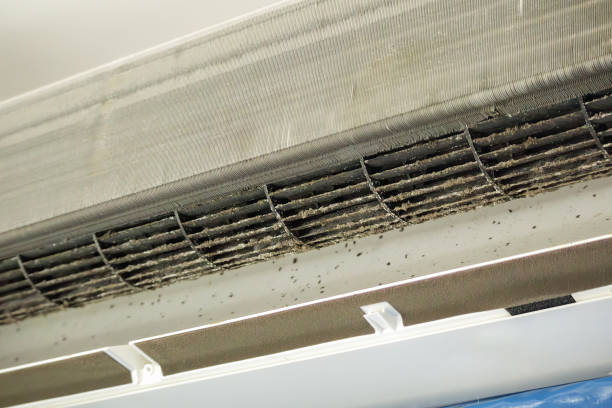 Best HVAC Duct Inspection Services  in Mountain City, TN